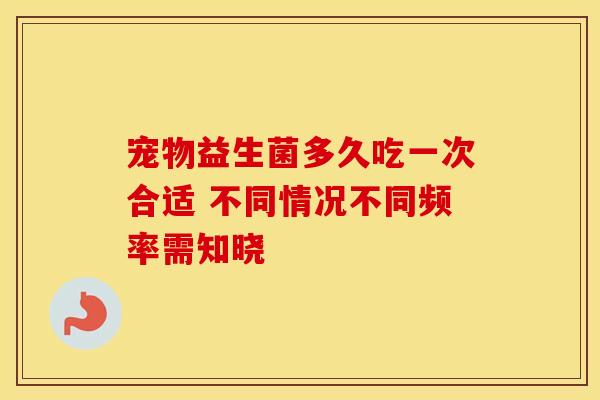 宠物益生菌多久吃一次合适 不同情况不同频率需知晓