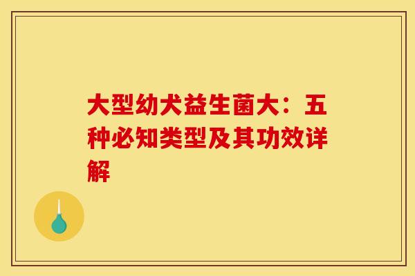 大型幼犬益生菌大：五种必知类型及其功效详解