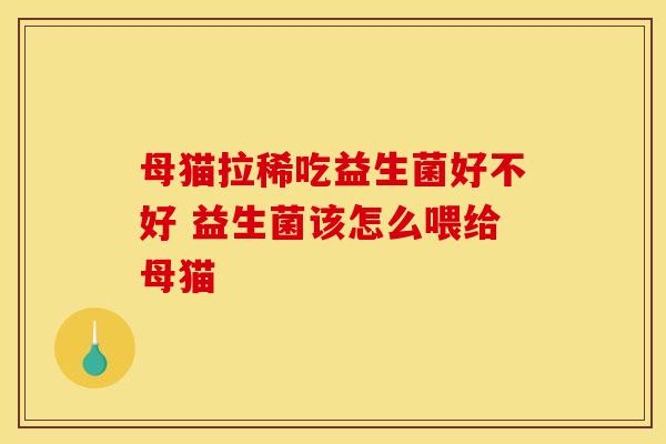 母猫拉稀吃益生菌好不好 益生菌该怎么喂给母猫