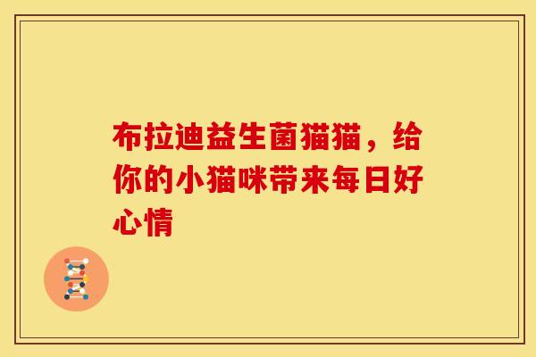 布拉迪益生菌猫猫，给你的小猫咪带来每日好心情