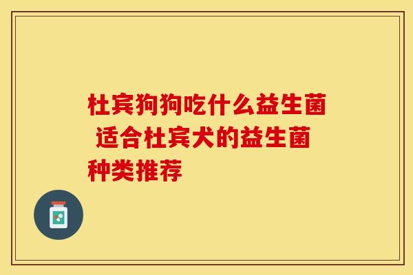 杜宾狗狗吃什么益生菌 适合杜宾犬的益生菌种类推荐