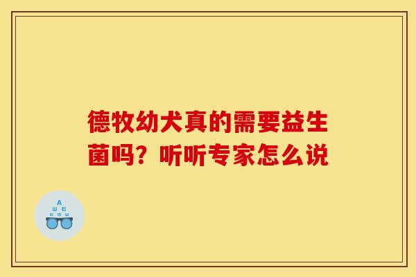 德牧幼犬真的需要益生菌吗？听听专家怎么说