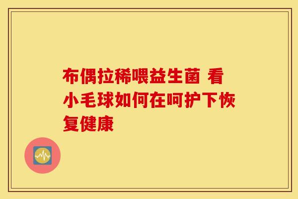 布偶拉稀喂益生菌 看小毛球如何在呵护下恢复健康