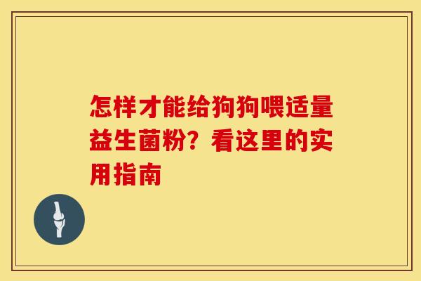 怎样才能给狗狗喂适量益生菌粉？看这里的实用指南