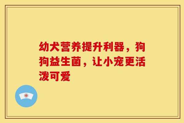 幼犬营养提升利器，狗狗益生菌，让小宠更活泼可爱