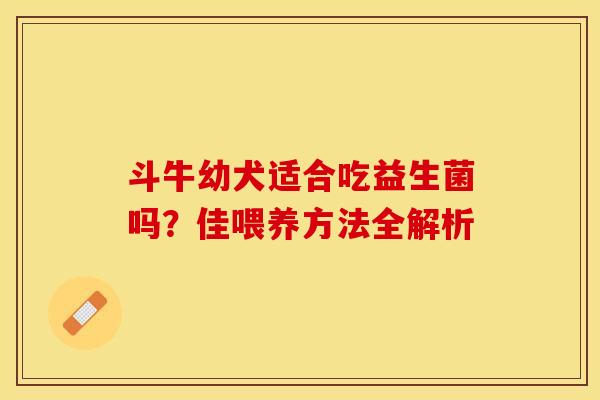 斗牛幼犬适合吃益生菌吗？佳喂养方法全解析
