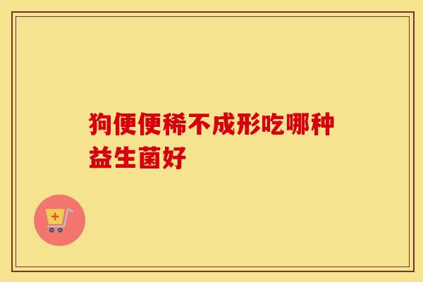 狗便便稀不成形吃哪种益生菌好