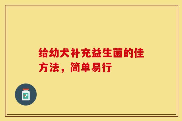 给幼犬补充益生菌的佳方法，简单易行
