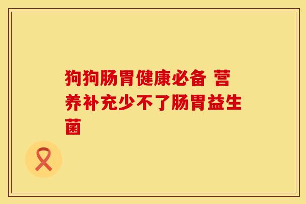 狗狗肠胃健康必备 营养补充少不了肠胃益生菌