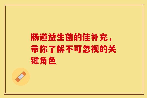 肠道益生菌的佳补充，带你了解不可忽视的关键角色