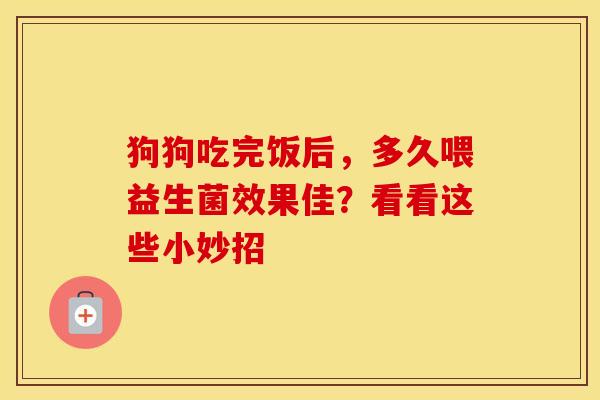 狗狗吃完饭后，多久喂益生菌效果佳？看看这些小妙招