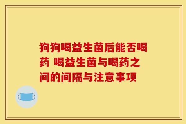 狗狗喝益生菌后能否喝药 喝益生菌与喝药之间的间隔与注意事项