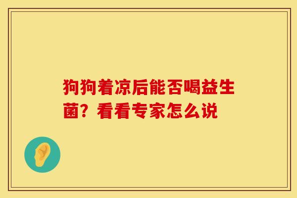 狗狗着凉后能否喝益生菌？看看专家怎么说