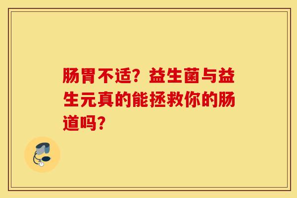 肠胃不适？益生菌与益生元真的能拯救你的肠道吗？