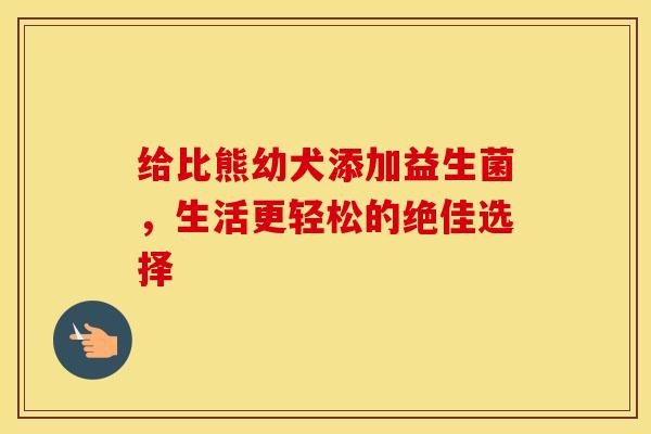 给比熊幼犬添加益生菌，生活更轻松的绝佳选择