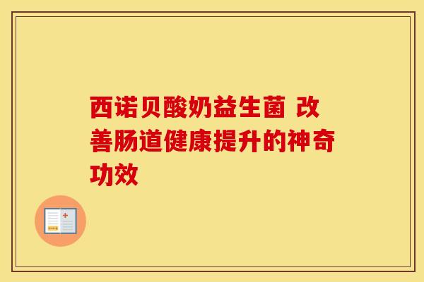 西诺贝酸奶益生菌 改善肠道健康提升的神奇功效