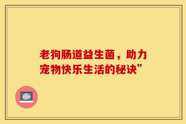 老狗肠道益生菌，助力宠物快乐生活的秘诀”