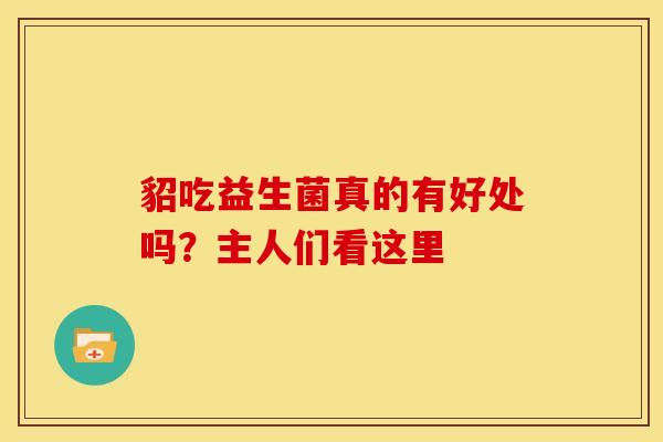 貂吃益生菌真的有好处吗？主人们看这里