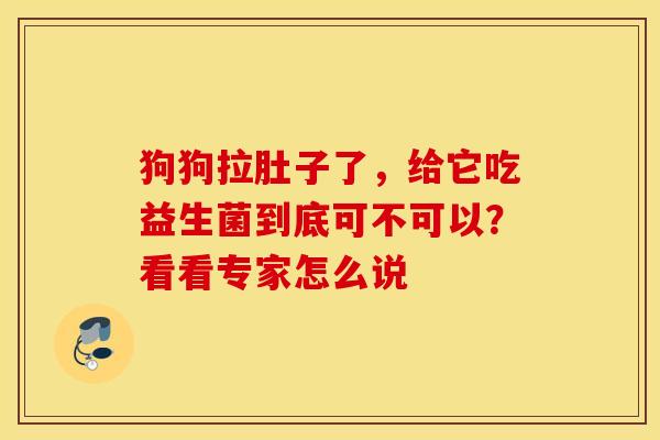 狗狗拉肚子了，给它吃益生菌到底可不可以？看看专家怎么说