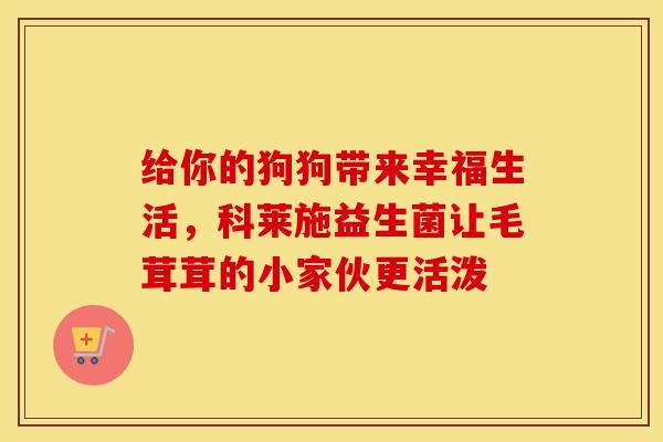 给你的狗狗带来幸福生活，科莱施益生菌让毛茸茸的小家伙更活泼