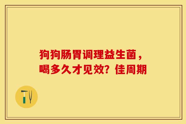 狗狗肠胃调理益生菌，喝多久才见效？佳周期