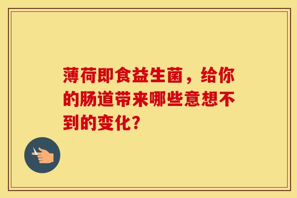 薄荷即食益生菌，给你的肠道带来哪些意想不到的变化？