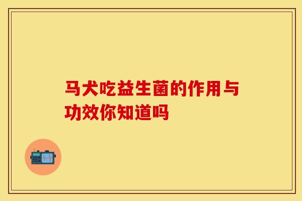 马犬吃益生菌的作用与功效你知道吗
