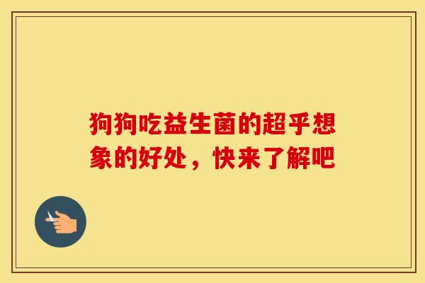 狗狗吃益生菌的超乎想象的好处，快来了解吧