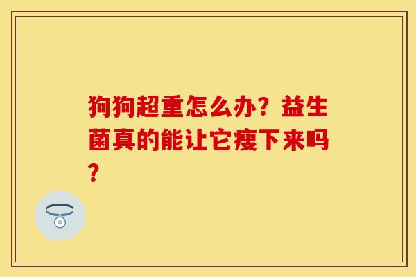 狗狗超重怎么办？益生菌真的能让它瘦下来吗？