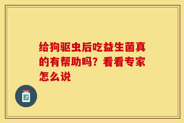 给狗驱虫后吃益生菌真的有帮助吗？看看专家怎么说