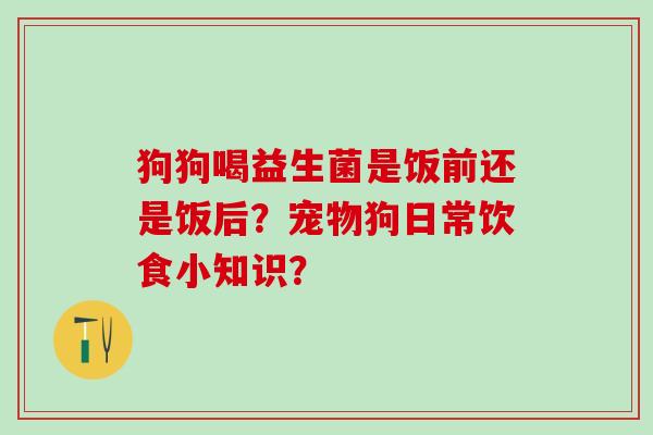 狗狗喝益生菌是饭前还是饭后？宠物狗日常饮食小知识？