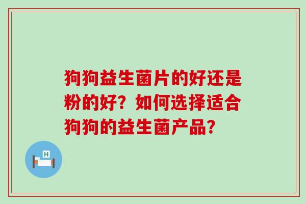 狗狗益生菌片的好还是粉的好？如何选择适合狗狗的益生菌产品？