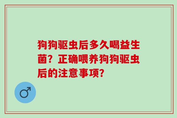 狗狗驱虫后多久喝益生菌？正确喂养狗狗驱虫后的注意事项？