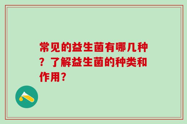 常见的益生菌有哪几种？了解益生菌的种类和作用？