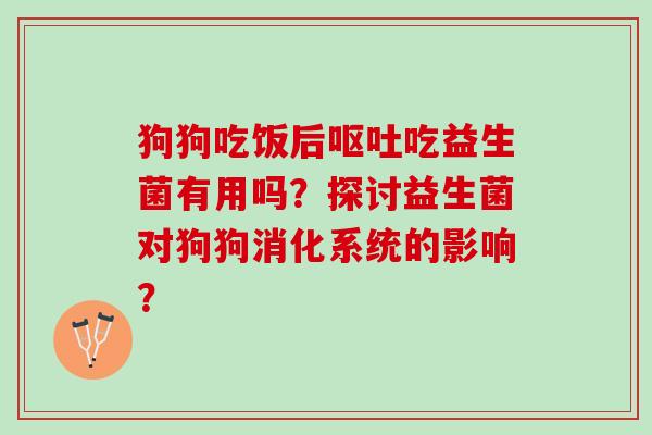 狗狗吃饭后呕吐吃益生菌有用吗？探讨益生菌对狗狗消化系统的影响？