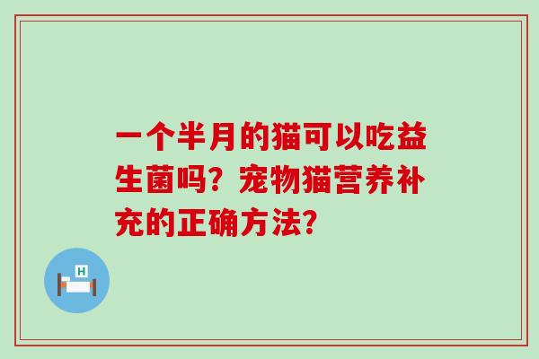 一个半月的猫可以吃益生菌吗？宠物猫营养补充的正确方法？