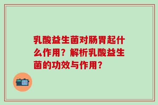 乳酸益生菌对肠胃起什么作用？解析乳酸益生菌的功效与作用？