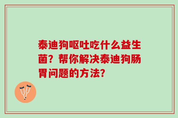 泰迪狗呕吐吃什么益生菌？帮你解决泰迪狗肠胃问题的方法？