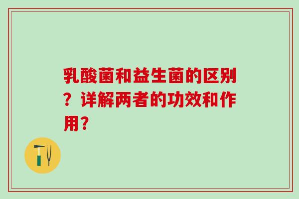乳酸菌和益生菌的区别？详解两者的功效和作用？