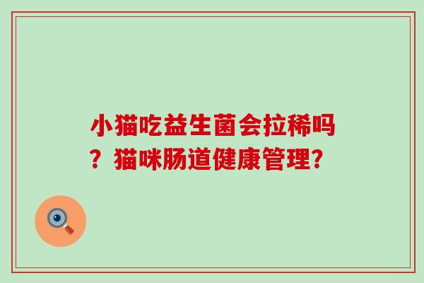 小猫吃益生菌会拉稀吗?猫咪肠道健康管理? 小猫吃益生菌会拉稀吗?猫咪肠道健康管理?