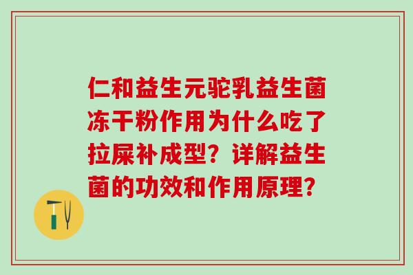 仁和益生元驼乳益生菌冻干粉作用为什么吃了拉屎补成型？详解益生菌的功效和作用原理？
