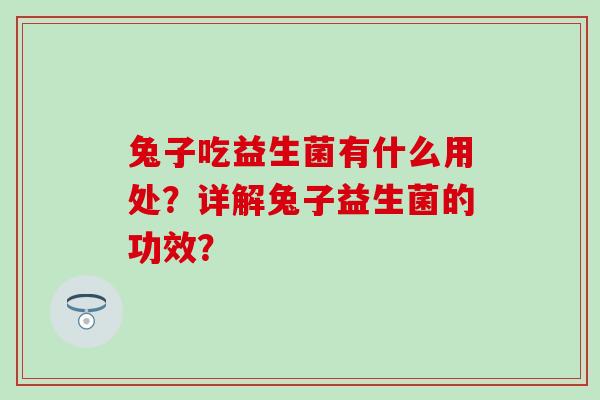兔子吃益生菌有什么用处？详解兔子益生菌的功效？