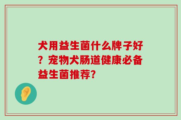 犬用益生菌什么牌子好？宠物犬肠道健康必备益生菌推荐？