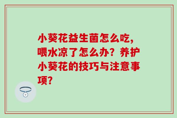 小葵花益生菌怎么吃,喂水凉了怎么办?养护小葵花的技巧与注意事项? 小葵花益生菌怎么吃,喂水凉了怎么办?养护小葵花的技巧与注意事项?