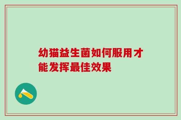 幼猫益生菌如何服用才能发挥最佳效果