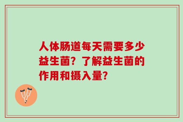 人体肠道每天需要多少益生菌？了解益生菌的作用和摄入量？