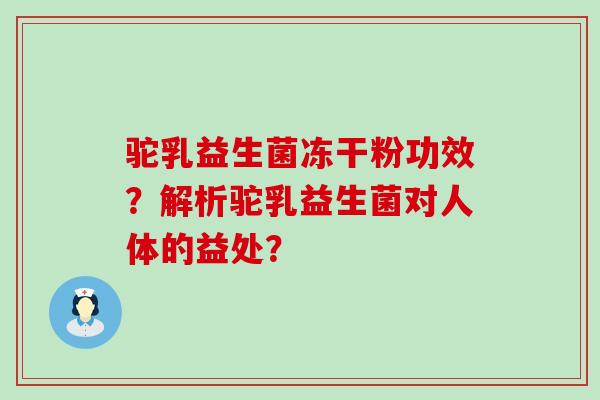 驼乳益生菌冻干粉功效?解析驼乳益生菌对人体的益处? 驼乳益生菌冻干粉功效?解析驼乳益生菌对人体的益处?