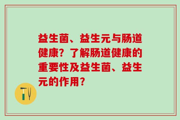 益生菌、益生元与肠道健康？了解肠道健康的重要性及益生菌、益生元的作用？