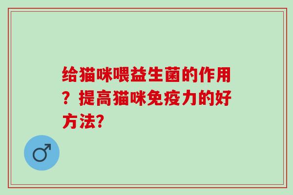 给猫咪喂益生菌的作用？提高猫咪免疫力的好方法？