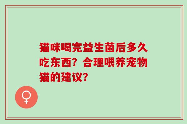 猫咪喝完益生菌后多久吃东西？合理喂养宠物猫的建议？